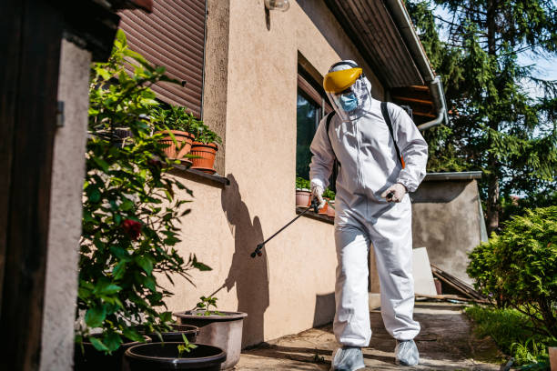 Best Wildlife Control Services  in Spindale, NC