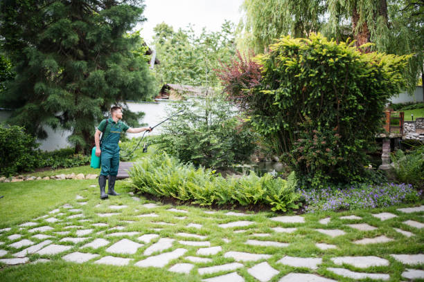 Best Wasp Removal Services  in Spindale, NC