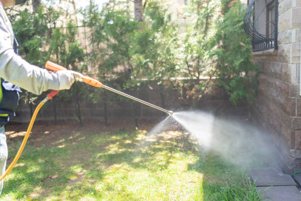 Best Cockroach Control Services  in Spindale, NC