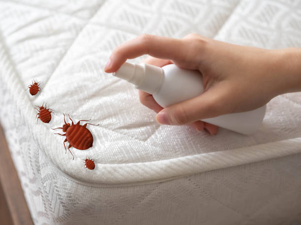 Best Residential Pest Control  in Spindale, NC