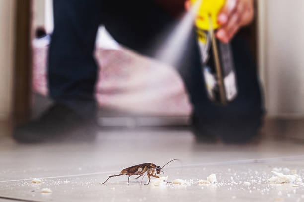 Best Pest Control for Businesses  in Spindale, NC