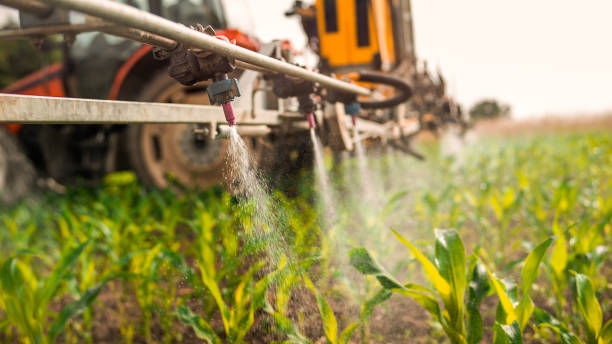 Pest Prevention Services in Spindale, NC