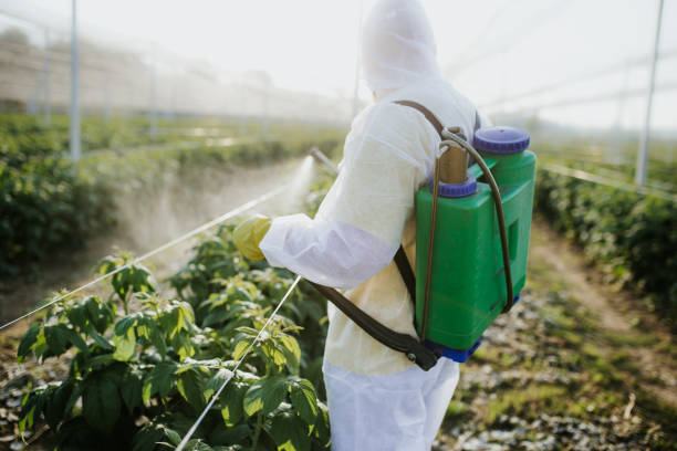 Best Pest Control Near Me  in Spindale, NC
